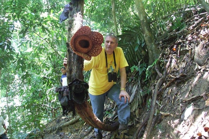 Rafflesia Rainforest Reserve Tour From Kota Kinabalu — See Borneo's Giant Flower photo 2