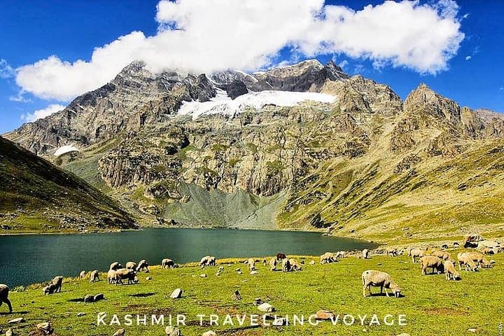 4-Day Kashmir Tour: Srinagar, Gulmarg & Pahalgam Highlights