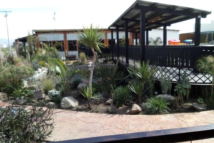 Pai Pai Tour: Ensenada Wildlife & Coastal City Sightseeing photo 2