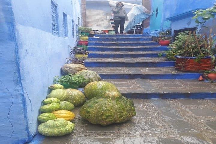 Fes to Chefchaouen Day Trip: Blue City & Rif Mountains photo 5