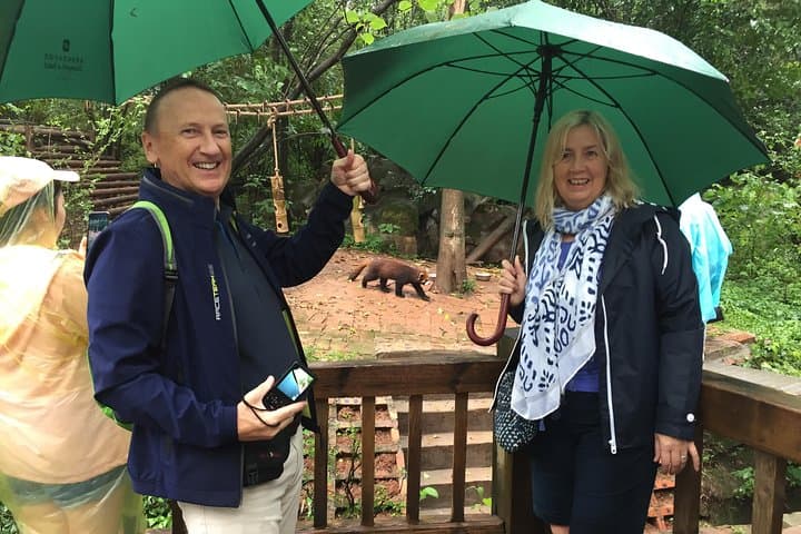 Half-Day Chengdu Panda Base Tour — Small-Group Encounter & Hotpot Option photo 4