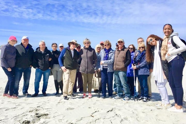 Dunedin Shore Excursion — Small-Group Otago Peninsula Tour & Wildlife Viewing photo 2