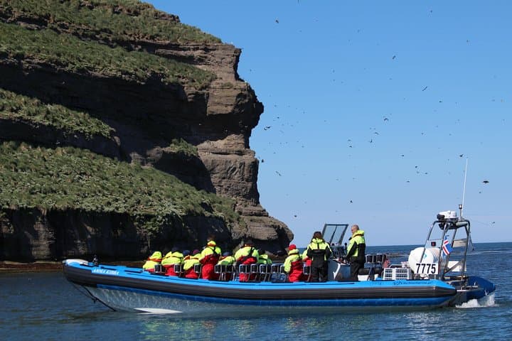 Big Whale Safari & Puffins Speedboat Tour from Húsavík — RIB Adventure in Skjálfandi Bay photo 6