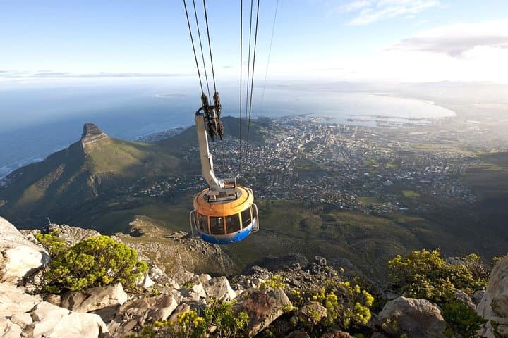 Table Mountain & Constantia Wine Tour — Private Full-Day from Cape Town photo 6