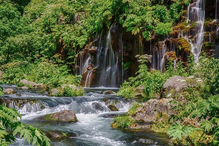 Dashbashi Canyon, Paravani & Sagamo Lakes Day Tour in Javakheti photo 4