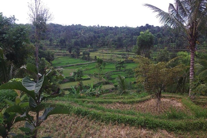 Soft Trekking Tetebatu: Rice Terraces & Waterfall Day Hike on Mount Rinjani's Slopes