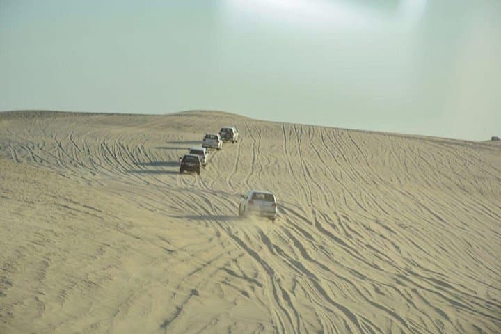 Doha Desert Safari: Dune Bashing, Camel Ride & Inland Sea Day Trip photo 4