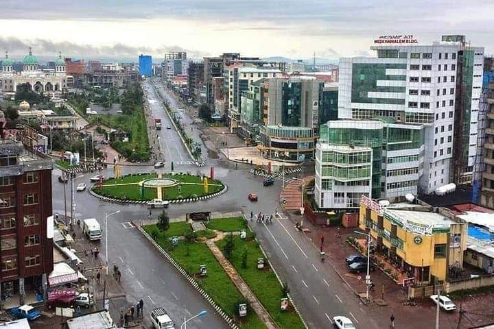 Half-Day Addis Ababa City Tour — Entoto Views, Lucy at the Museum & Mercato Markets