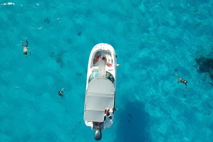 Bora Bora Lagoon Snorkel: Half-Day Reef Discovery with Manta & Eagle Rays photo 3
