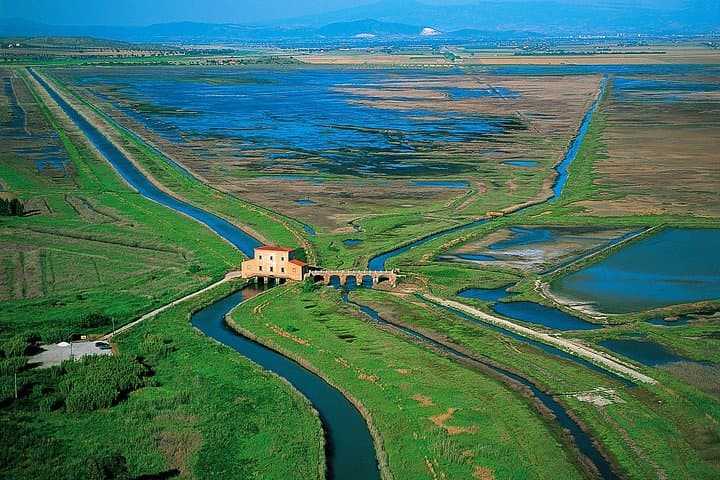 Guided Walking & Birdwatching in Diaccia Botrona: Tuscan Maremma Nature Walk