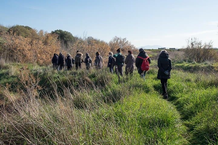 Guided Walking & Birdwatching in Diaccia Botrona: Tuscan Maremma Nature Walk photo 2