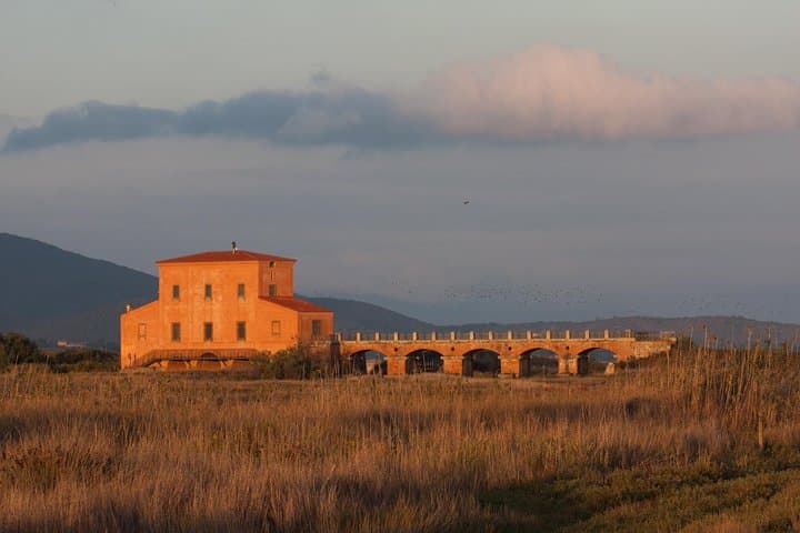 Guided Walking & Birdwatching in Diaccia Botrona: Tuscan Maremma Nature Walk photo 5