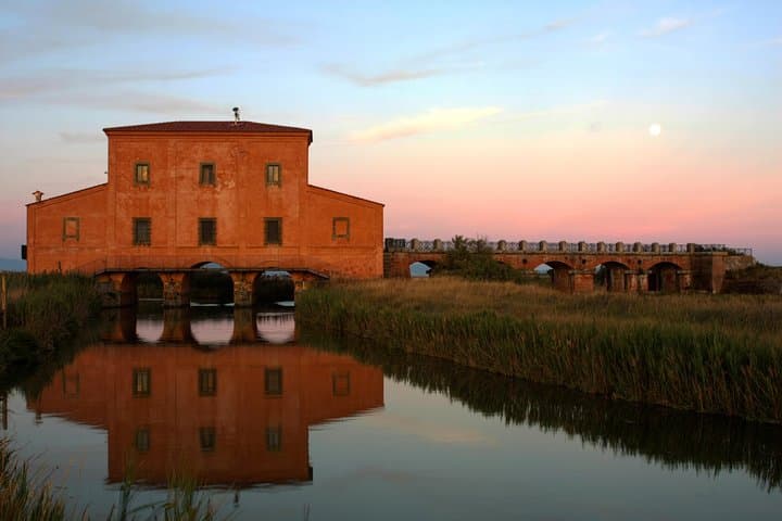 Guided Walking & Birdwatching in Diaccia Botrona: Tuscan Maremma Nature Walk photo 3