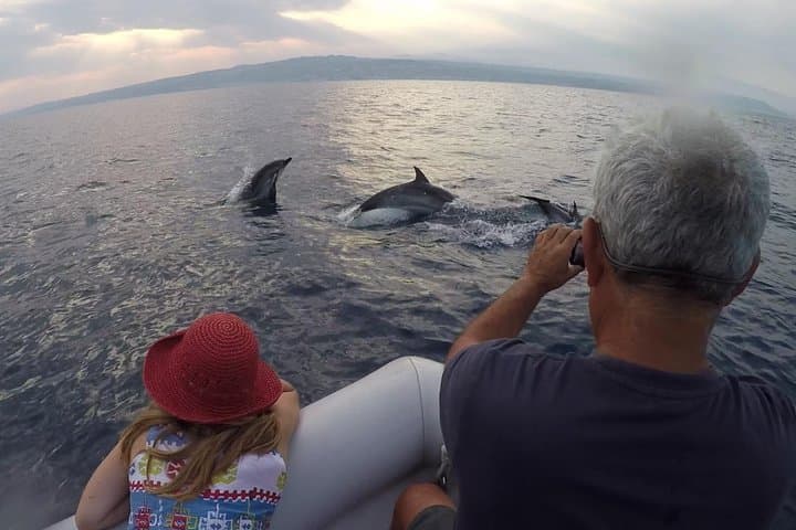 Dolphin Watching in the Gulf of Catania — Guided Cetacean Safaris with Marine Biologists