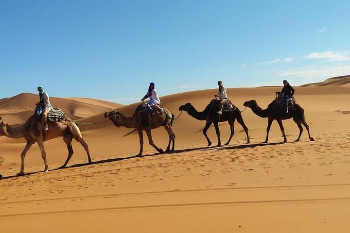2-Day Shared Trip from Fes to Merzouga Desert: Camel Trek, Sand Dunes & Berber Camp photo 1
