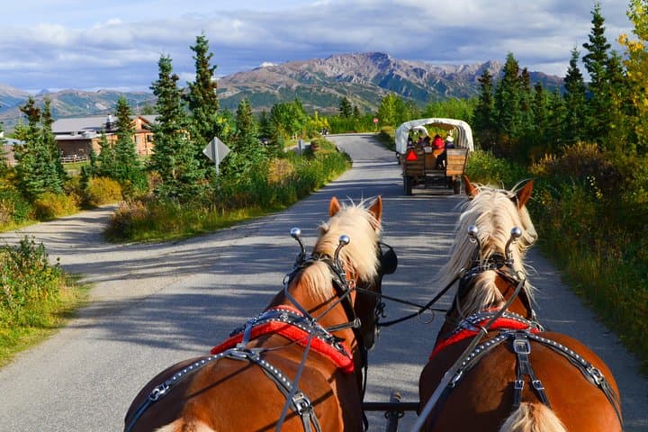 Denali Edge Horse-Drawn Covered Wagon Ride with Backcountry Dining