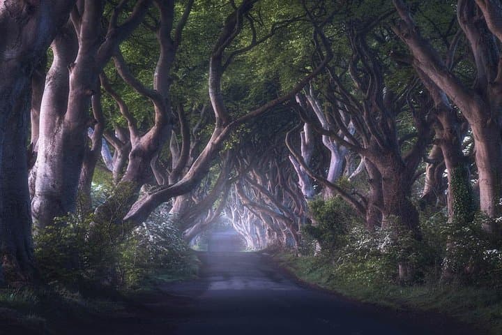 Giants Causeway & Game of Thrones Tour from Belfast — North Antrim Coast Highlights photo 3
