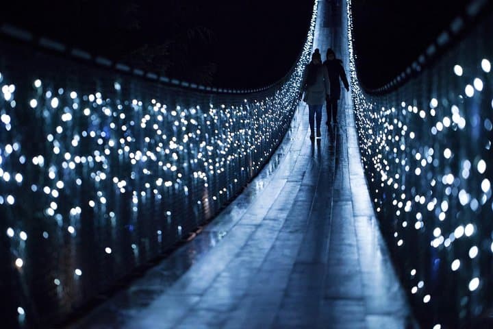 Vancouver City Tour & Capilano Suspension Bridge Canyon Lights photo 4