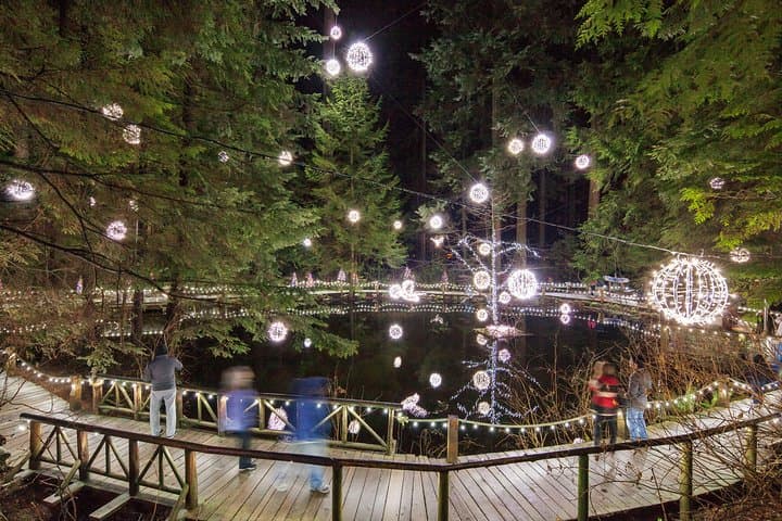 Vancouver City Tour & Capilano Suspension Bridge Canyon Lights photo 6