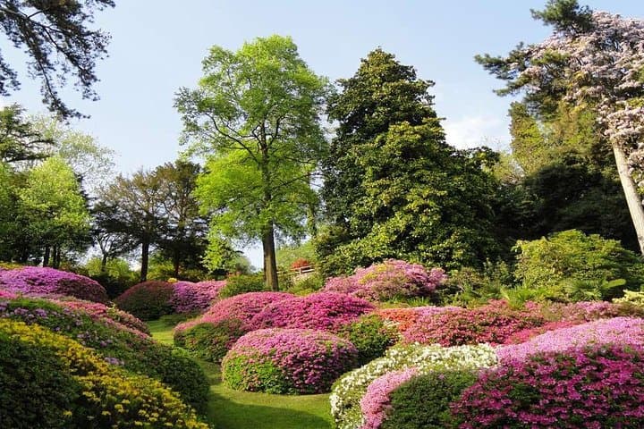 Lake Como Full-Day Cruise: Villa Carlotta Gardens & Bellagio photo 2