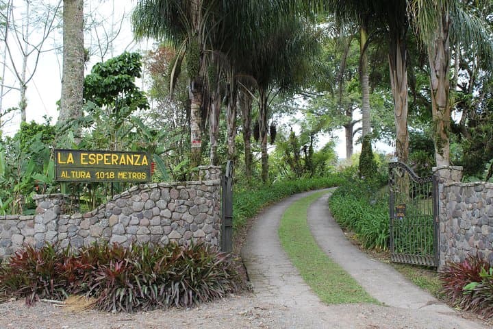 Hacienda La Esperanza: Complete Costa Rican Lunch and Coffee Experience photo 2