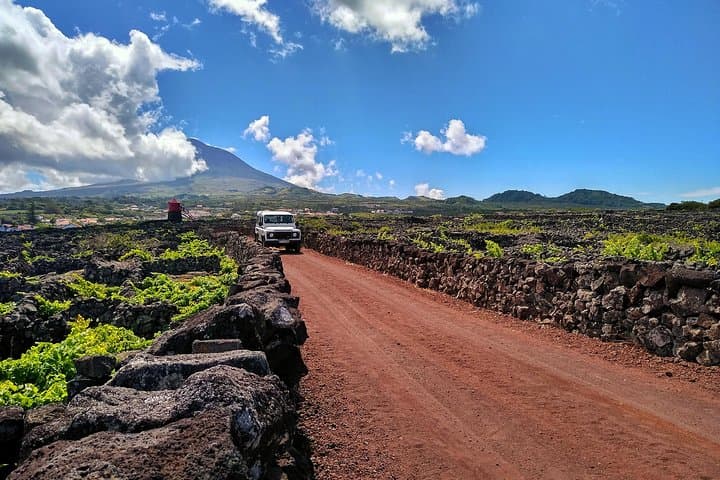 Pico Vineyard & UNESCO Wine Tour — Madalena’s Centenary Vines photo 5