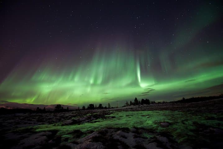 Aurora Husky Visit Near Tromsø: Huskies, Arctic Dinner & Northern Lights photo 2