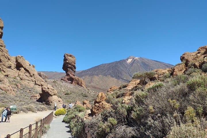 Teide Essential VIP Shore Excursion — La Laguna to Teide National Park photo 3