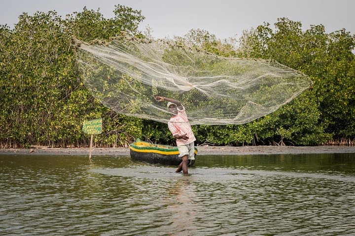 Cartagena Mangrove Canoe Tour & Walled City Shore Excursion photo 3
