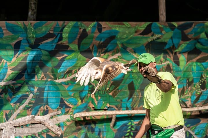 Inside Colombia's National Aviary: Private Tour from Cartagena to See 170+ Bird Species photo 3