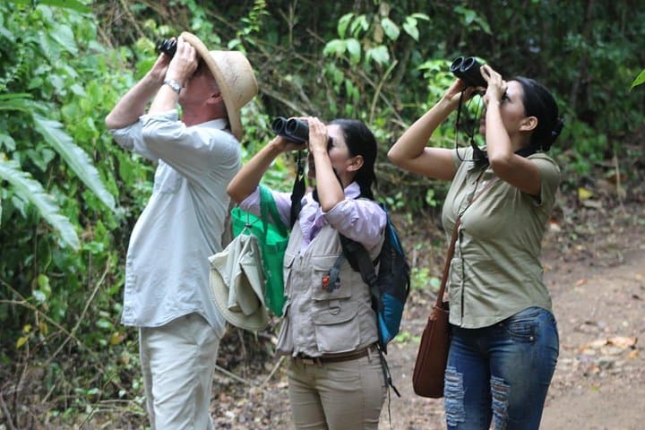 Bird Watching Tours with Sandra Plúa near Puerto López — Coastal Manabí Birding