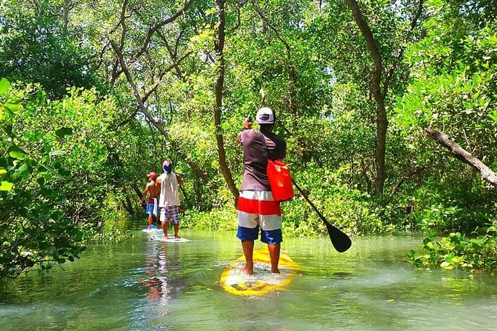 Stand-Up Paddle Lessons in Sanur: Learn SUP with a Pro in Bali photo 5