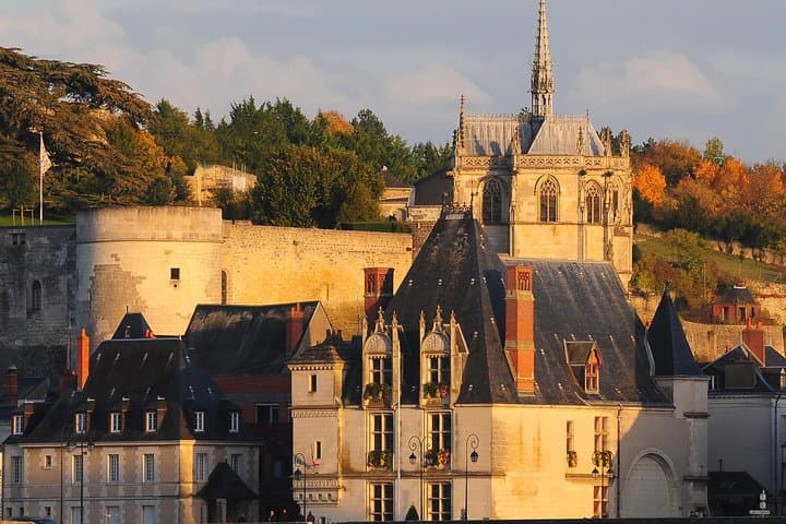 Day Trip to Loire Valley Castles: Chenonceau, Amboise & Clos Lucé photo 5