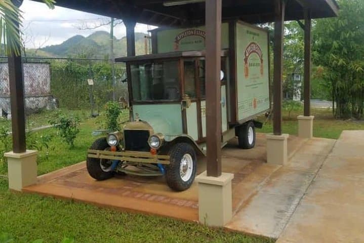 YS Falls & Appleton Estate Private Rum Tour — Day Trip from Montego Bay photo 4