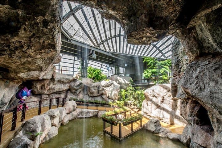 Explore Entopia Penang: Butterfly Sanctuary, Bug Lab & Interactive Nature Center photo 4