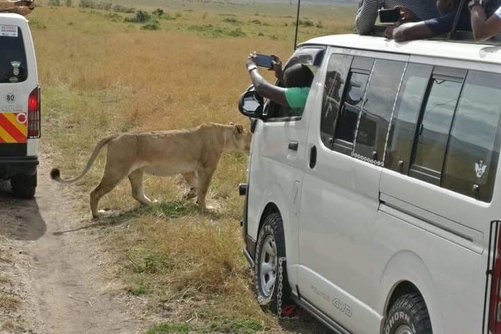 2-Day Overnight Tsavo East Safari from Mombasa or Diani Beach — Big Game & Lodge Stay photo 4