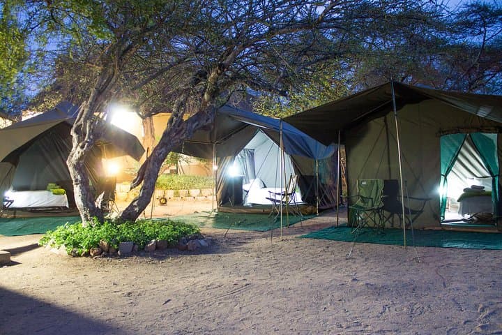 Under Canvas in Kruger: 5-Day Private Safari from Hazyview