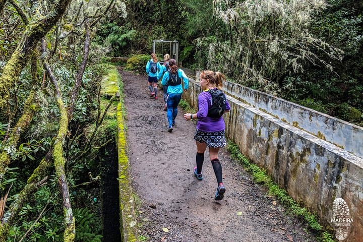 Green Levada Running Tour — Poiso to Levada do Furado 14km Loop photo 4