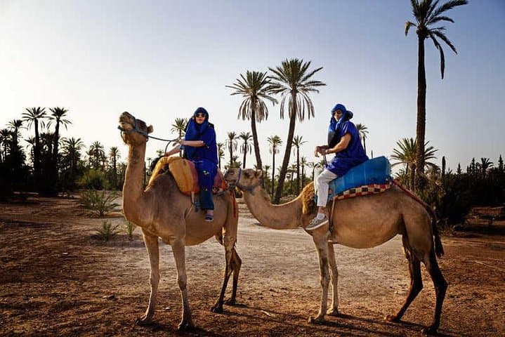 Palmeraie Camel Ride: 1-Hour Trek & Mint Tea from Marrakech