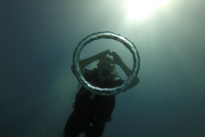Catalina Island Scuba Diving Day Trip from Punta Cana photo 2