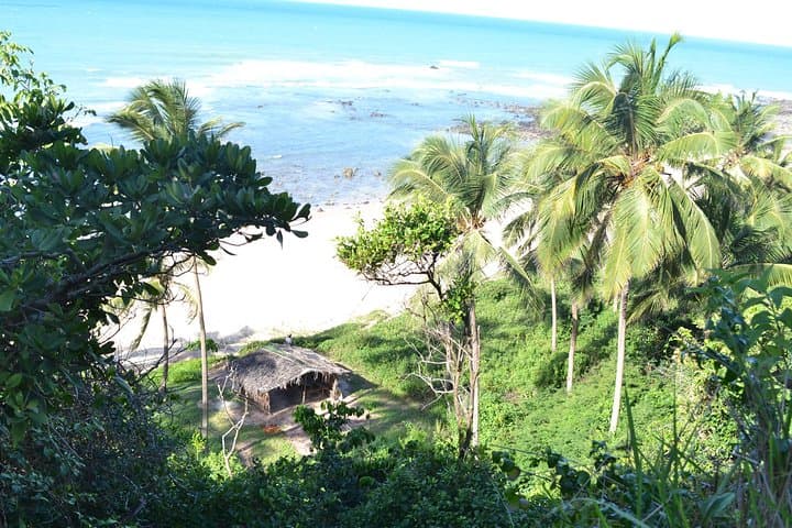 Pipa Beach Day Trip from Natal: Dolphins, Cliffs & Atlantic Forest photo 5