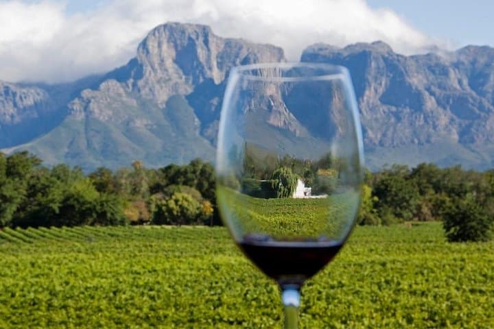 Cape Town Winelands Private Tasting Tour: Stellenbosch, Franschhoek & Paarl photo 2
