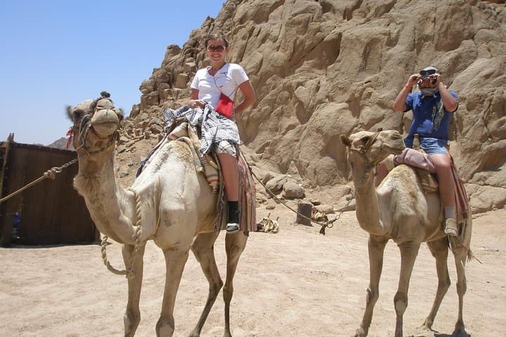 Camel Ride in Sharm El-Sheikh Desert — 2-Hour Dromedary Experience
