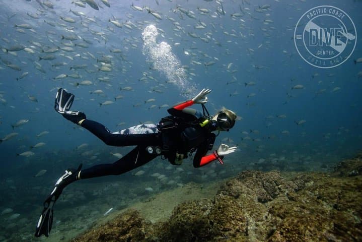 Discover Scuba Diving at Catalina Islands & North Island, Costa Rica — Intro Dives from Playa Flamingo photo 5