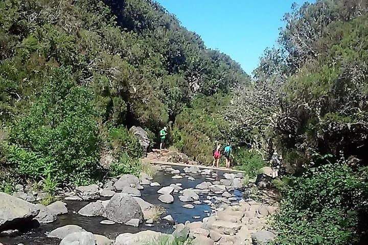 Rabacal Levada Walk to 25 Fontes and Risco Waterfall, Madeira photo 5