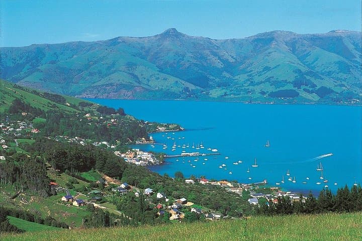 Akaroa Shore Excursion: Harbour Views, Cheese Tasting & Giant's House Gardens photo 3