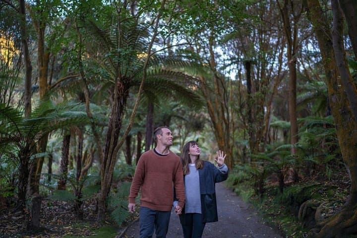 Hell's Gate Geothermal Walk: Explore Rotorua's Most Active Thermal Reserve photo 2