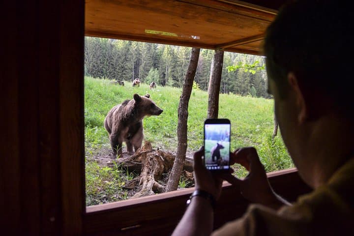 Land of Volcanoes Day Trip: Saint Anna Lake, Puturosu Cave & Bear Watching from Brașov