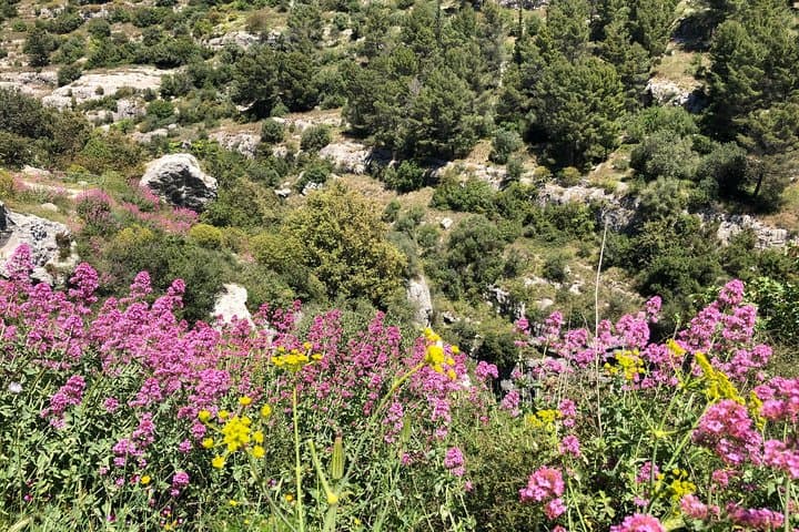 Walking Pantalica: Explore Sicily’s Ancient Necropolis and the Anapo Gorge photo 2