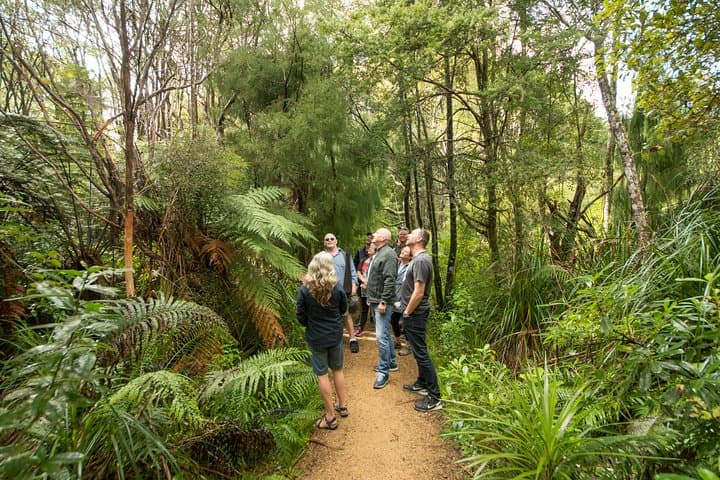 Piha Beach & Waitakere Ranges Afternoon Tour from Auckland photo 5